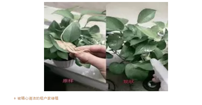 逆行者00404
